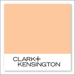Clark+Kensington Valley of Flowers 12D-3