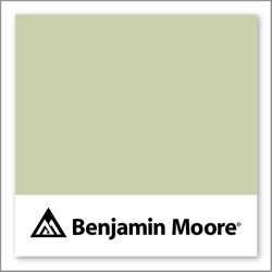 Benjamin Moore Maidenhair Fern 500