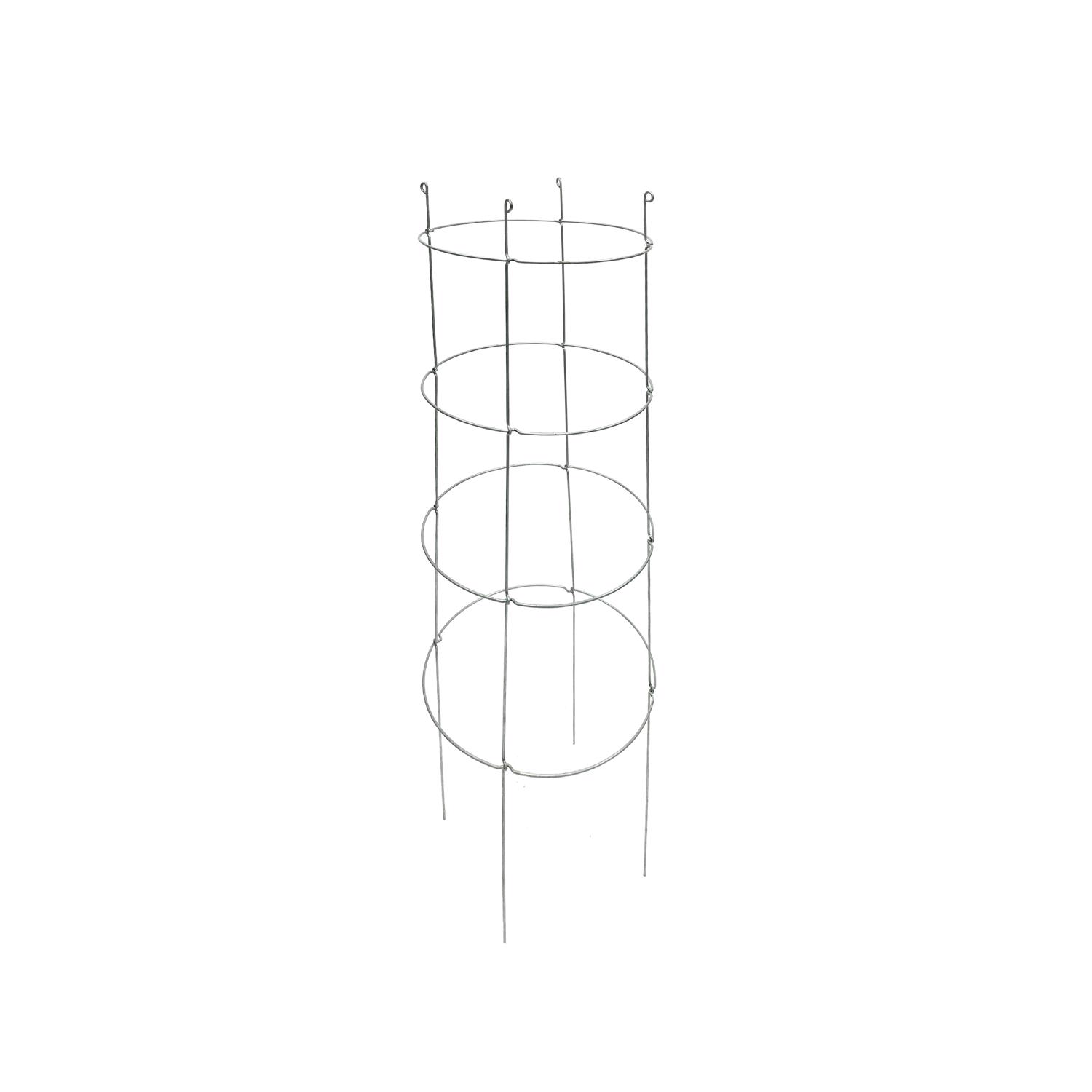 image-1
