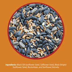 Lyric Wild Bird Food 3.75 lb