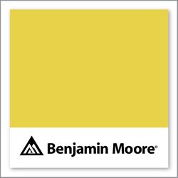 Benjamin Moore Lemon Grove 363
