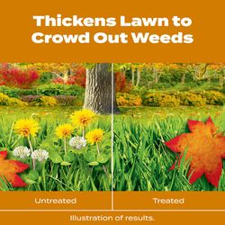 Scotts Turf Builder Weed & Feed Lawn Food For All Grasses 12000 sq ft