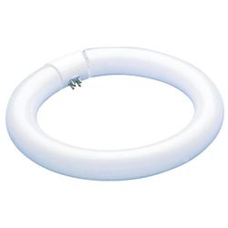 Westinghouse 32 W T9 12 in. L Fluorescent Bulb Cool White Tubular 4100 K 1 pk