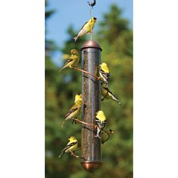 Songbird Essentials Goldfinch 2.5 qt Copper Tube Bird Feeder