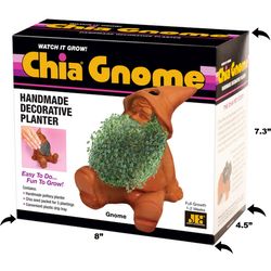 Chia Pet Gnome Decorative Planter Clay 1 pk