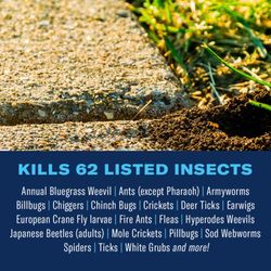 BioAdvanced Lawn Insect Killer Spray 32 oz