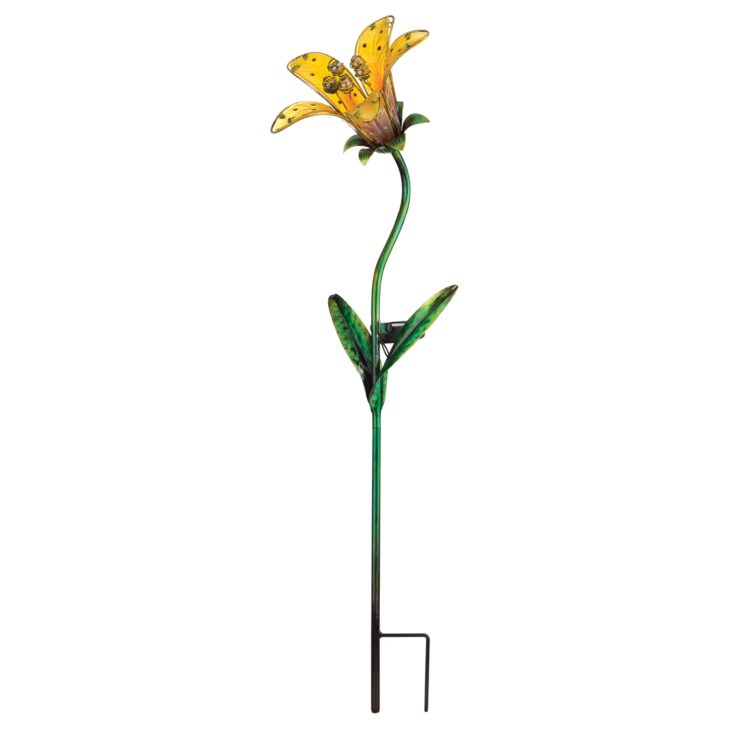 image-5