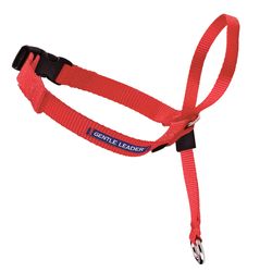 PetSafe Gentle Leader Red Nylon Dog Training Leash Large