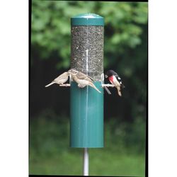Birds Choice Wild Bird 5 lb Polycarbonate Classic Tube Bird Feeder 4 ports