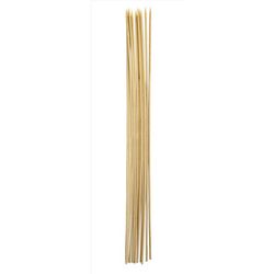 Coghlan's Tan Roasting Stick 33.500 in. H X 1/4 in. W X 30 in. L 12 pk