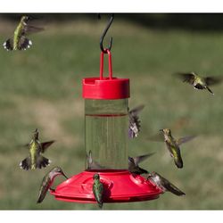 Songbird Essentials Hummingbird 16 oz Glass/Plastic Suet Feeder Nectar Bird Feeder 4 ports
