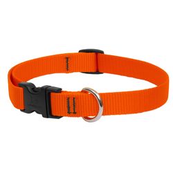 LupinePet Basic Solids Blaze Orange Blaze Orange Nylon Dog Adjustable Collar