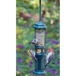 Brome Bird Care SquirrelBuster Wild Bird and Finch 0.75 lb Metal/Plastic Bird Feeder