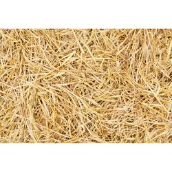 Retailer Sourced Wheat Straw Bale