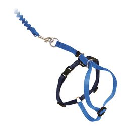 PetSafe Come with me kitty Royal Blue Harness & Leash Nylon Cat Leash and Harness Small