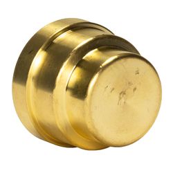 QuickFitting Push to Connect 3/4 in. PF in. Brass Cap