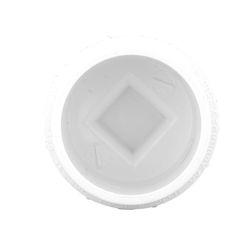 Charlotte Pipe Schedule 40 4 in. Spigot FPT PVC Cleanout Adapter 1 pk