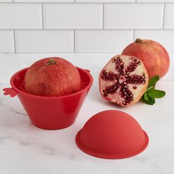 HIC Kitchen Red Plastic/Silicone Seed Remover 5.2 oz