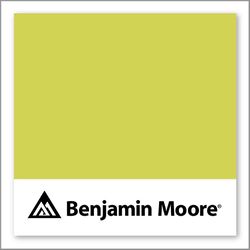 Benjamin Moore Granny Smith CSP-860