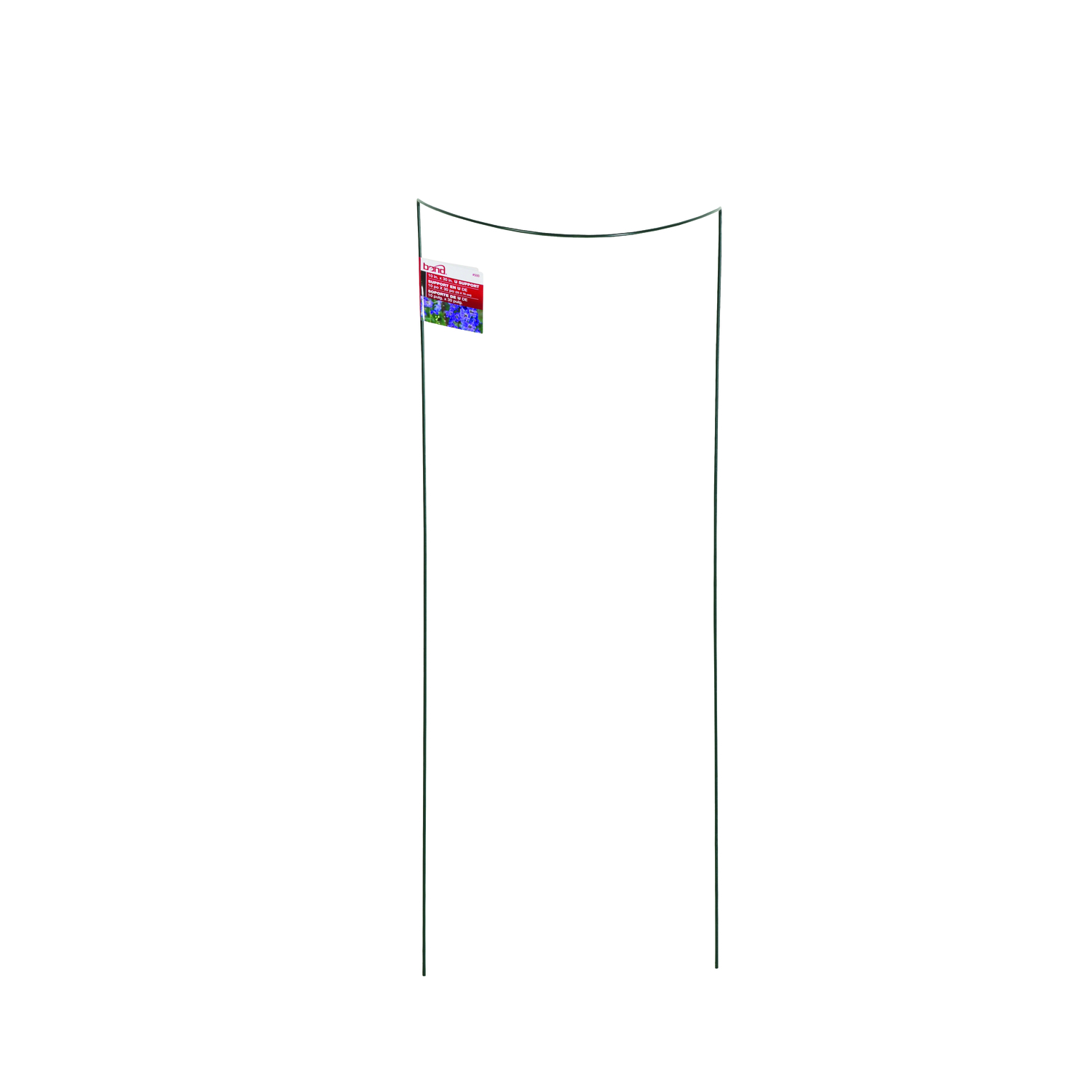 image-2