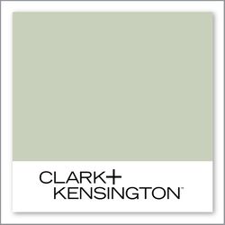 Clark+Kensington Innuendo 28B-2