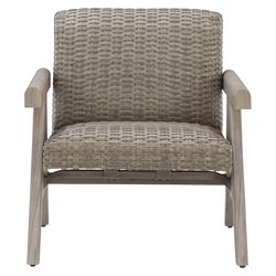 Signature Design by Ashley Carisbo Brown Aluminum Frame Casual Lounge Chair