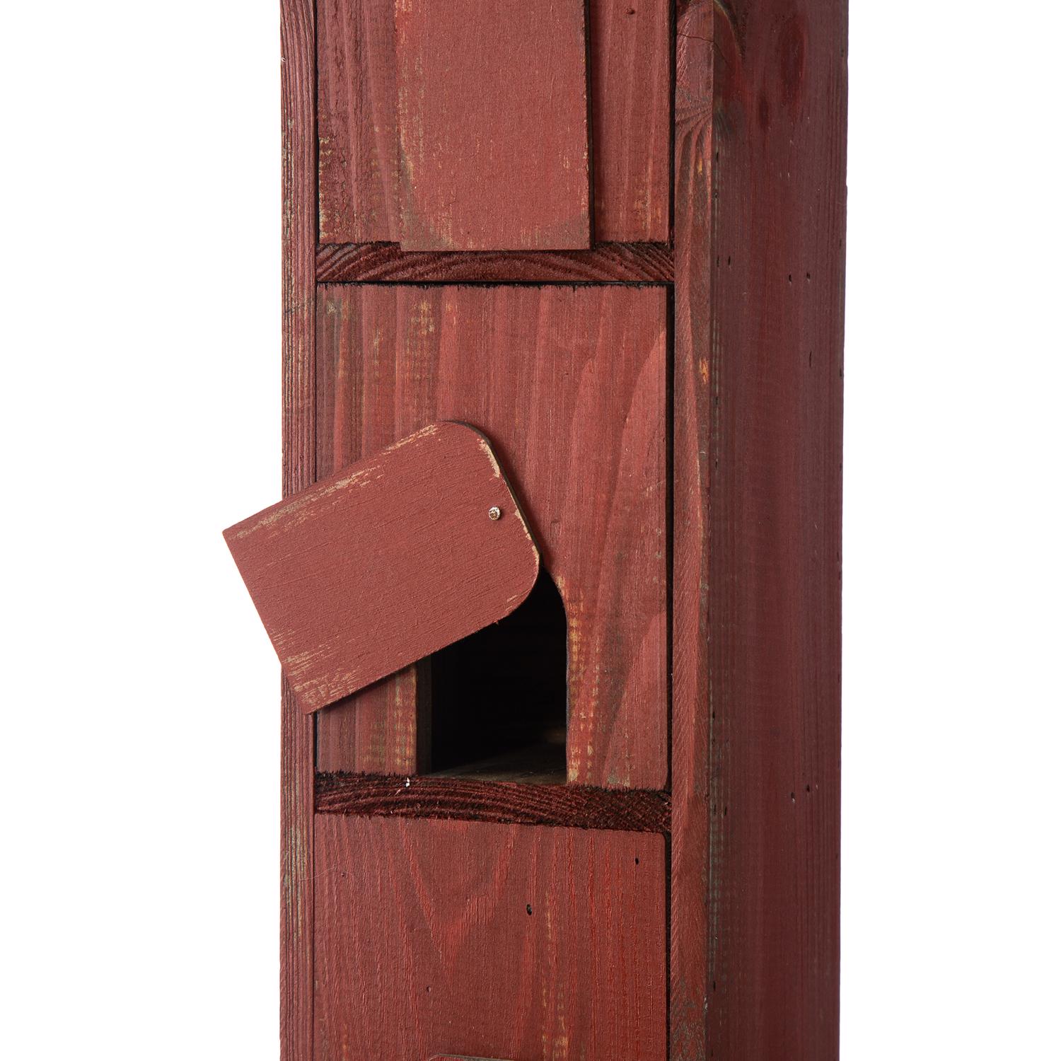 image-6