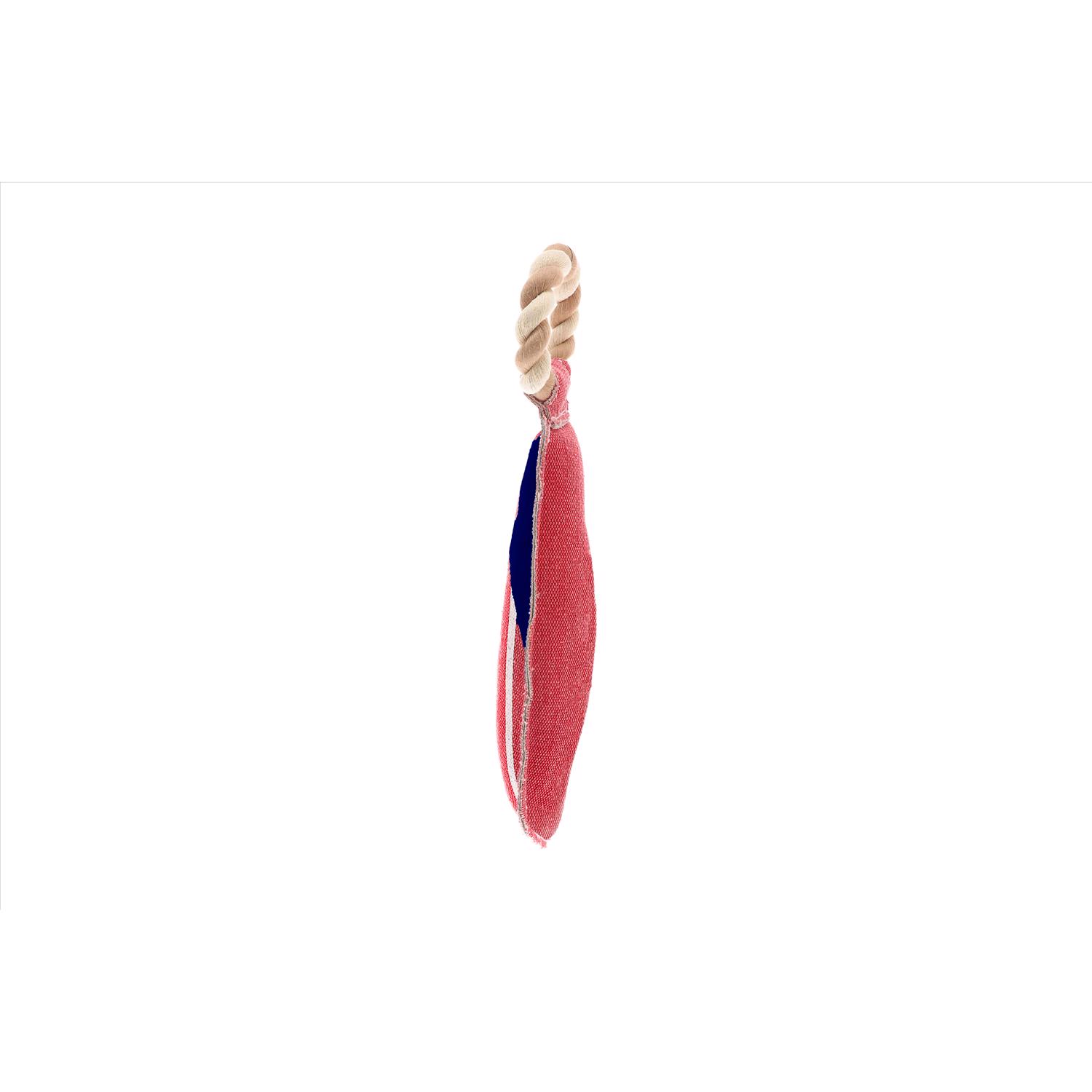 image-2