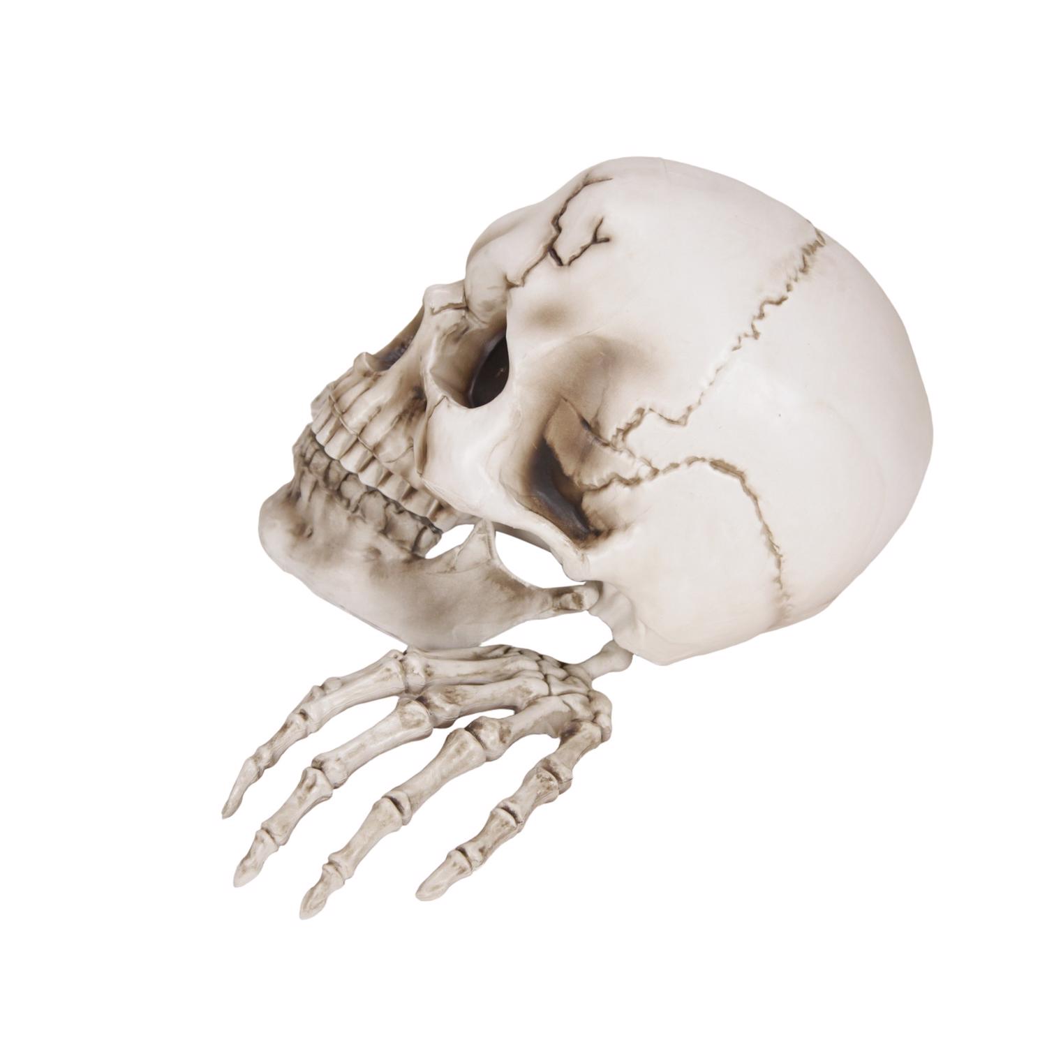 image-10
