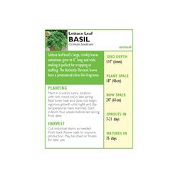 Lake Valley Seed Basil Seeds 1 pk
