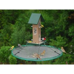 Songbird Essentials 1 in. H X 11.25 in. W X 11.25 in. D Seed Hoop