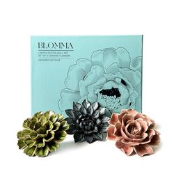 Chive Ceramic Flowers 2.9 in. H X 9.9 in. L Glazed Assorted Ceramic Blomma Box Set