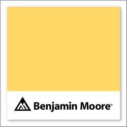 Benjamin Moore Yellow Rain Coat 2020-40