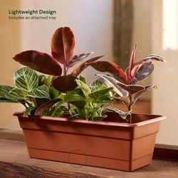Bloem Dura Cotta 5.75 in. H X 18 in. W X 7.5 in. D Plastic Window Box Terracotta