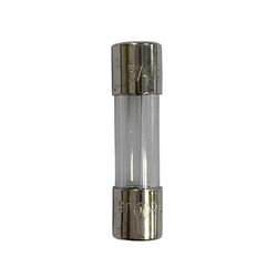 Celebrations Clear 2 ct Replacement 5Amp Fuse
