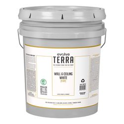 Evolve Terra Flat Interior Latex Wall Paint Interior 5 gal