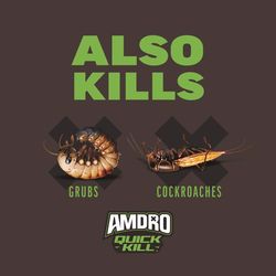 Amdro Quick Kill Spider & Ant Killer Granules 3 lb