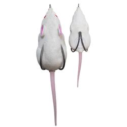 Lunkerhunt Fishing Lure 2 in.