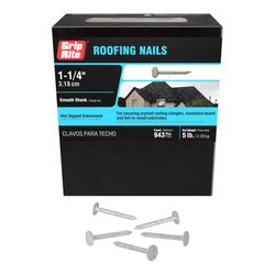 Grip-Rite 1-1/4 in. Roofing Hot-Dipped Galvanized Steel Nail Flat Head 5 lb