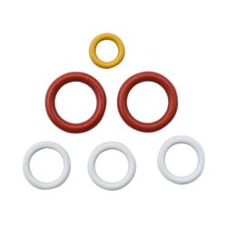 AR Blue Clean Pressure Washer O-Ring Kit
