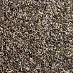 Ace Wild Bird Food 5 lb