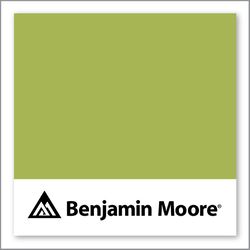 Benjamin Moore Perennial 405