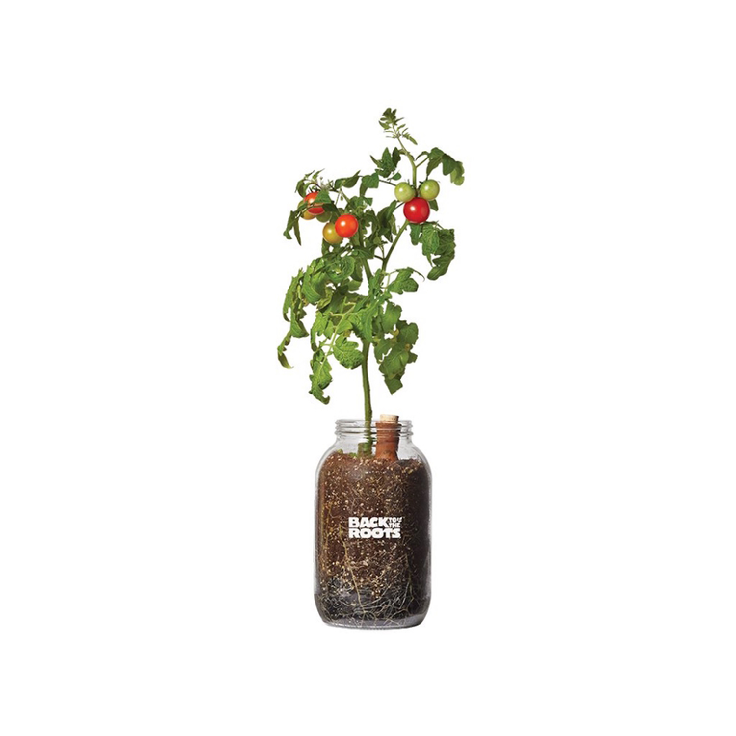 image-2