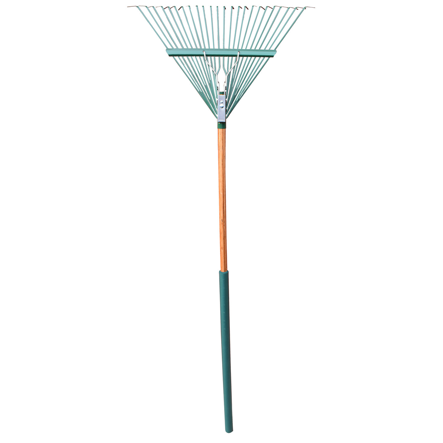image-1