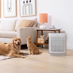 Levoit Vital 200S-P Carbon Smart Air Purifier 380 sq ft