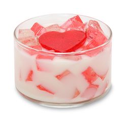 Primal Elements Pink/White Berries/Vanilla Scent 2 Wick Cherish Candle