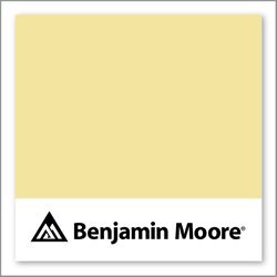 Benjamin Moore Copacabana 284