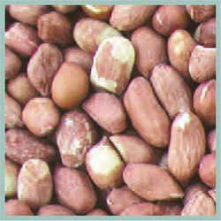 Cole's Wild Bird Food 5 lb
