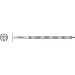 Simpson Strong-Tie 10D 3 in. Deck Coated Stainless Steel Nail Round Head 5 lb