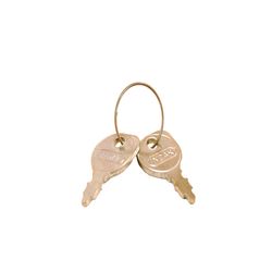 Arnold Lawn Mower/Tractor Ignition Key 2 pk